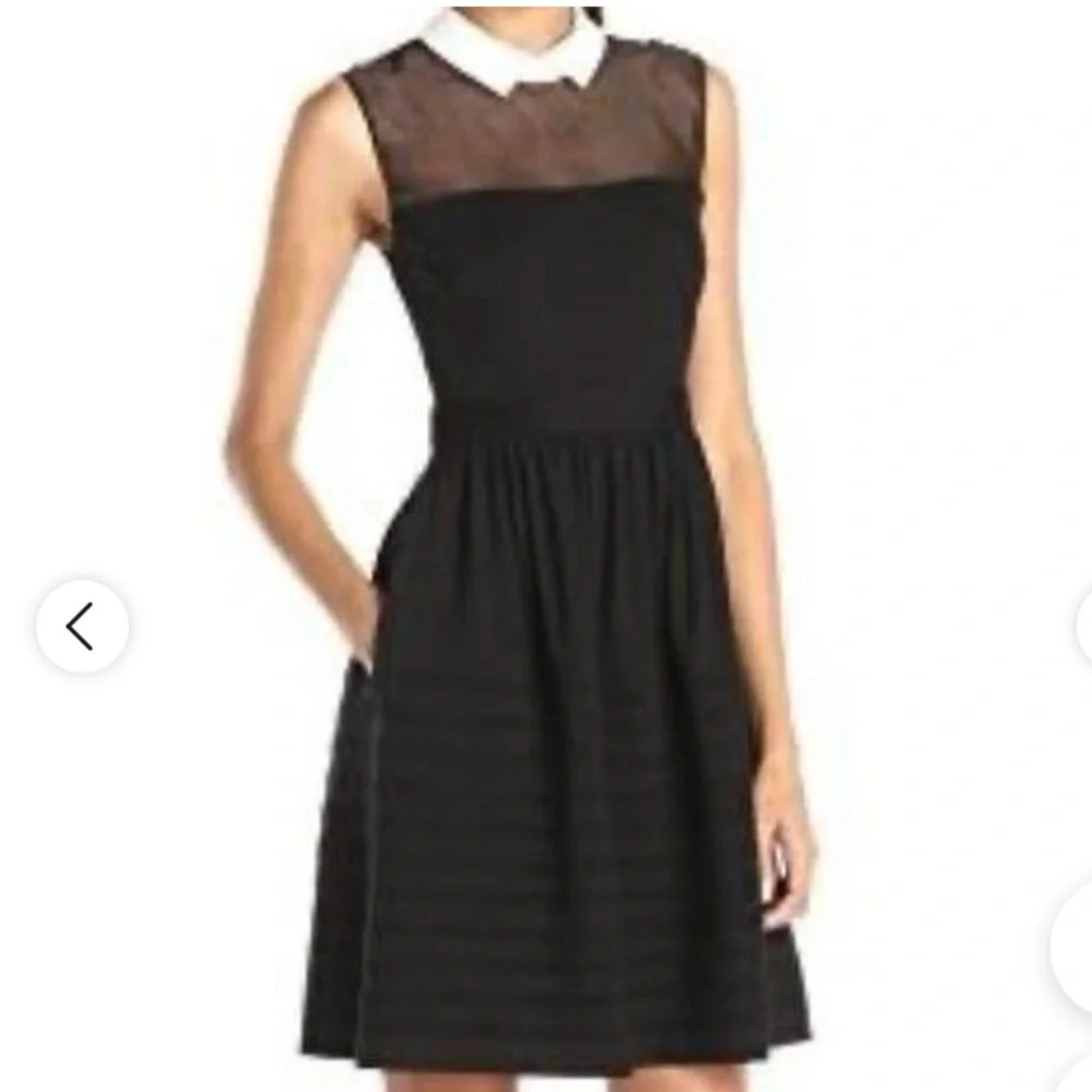 Betsey Johnson Women's Black Sheer Neckline White Collar Dress. Size 10.